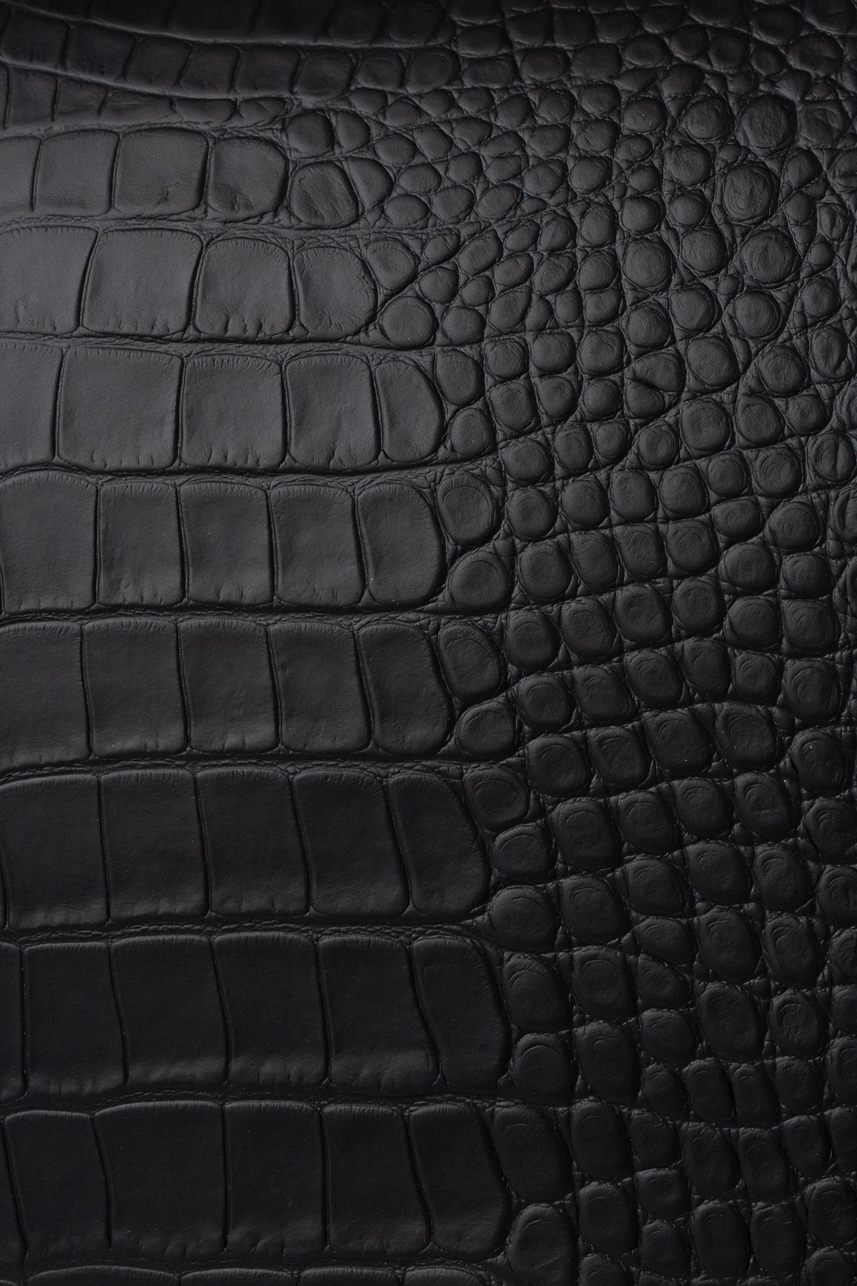 SQUARE Black Croco Leather Backpack - Image 6